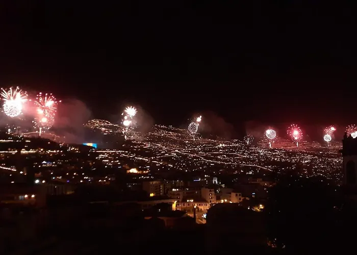Alamos Charming - Garden